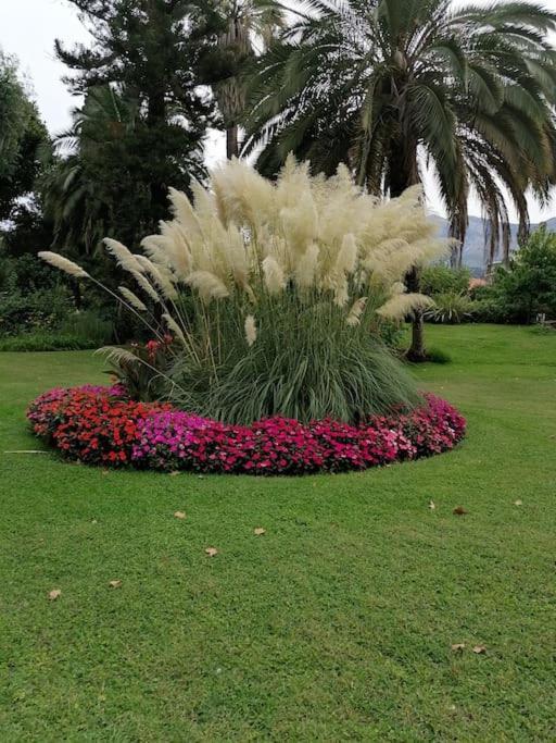 Imperial Palace Bord De Mer Ментона Екстериор снимка